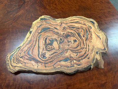 Spotted gum burl serving board