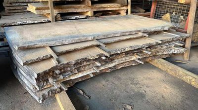 Silky oak live edge raw timber slabs