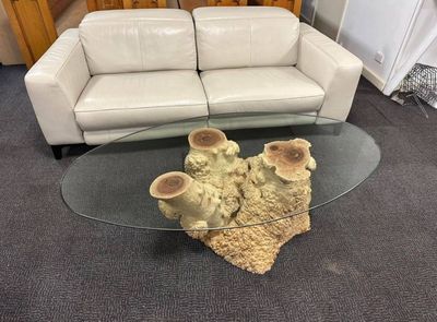 Mallee Burl Stump glass coffee table