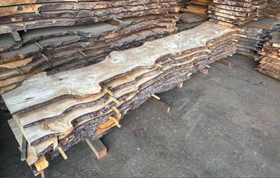 Himilayan Cedar live edge raw timber slabs