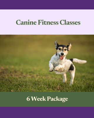 Canine Fitness Classes (6 Week Package)