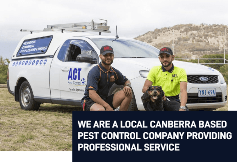 Canberra pest controllers with termite dog
