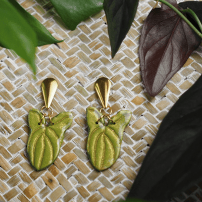 Glam Syngonium Dangles