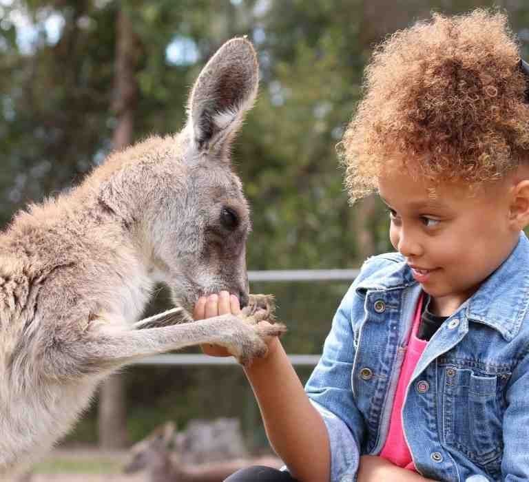 Brian To’o cheering during a Rugby game