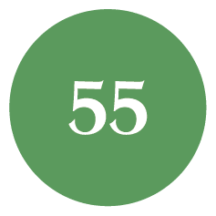 Green 55 passionate staff icon.