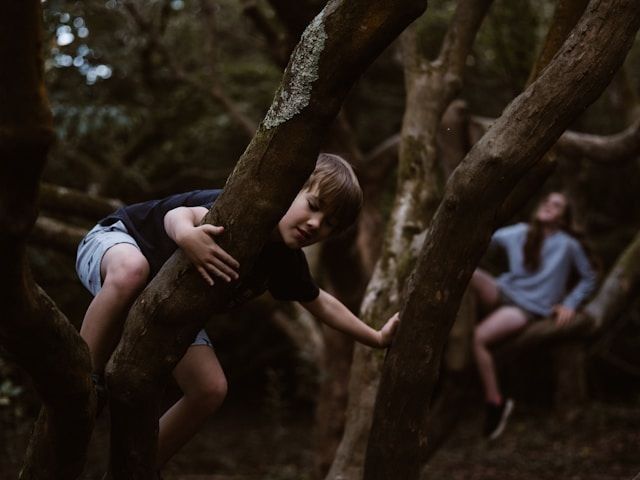 Children playing in trees.