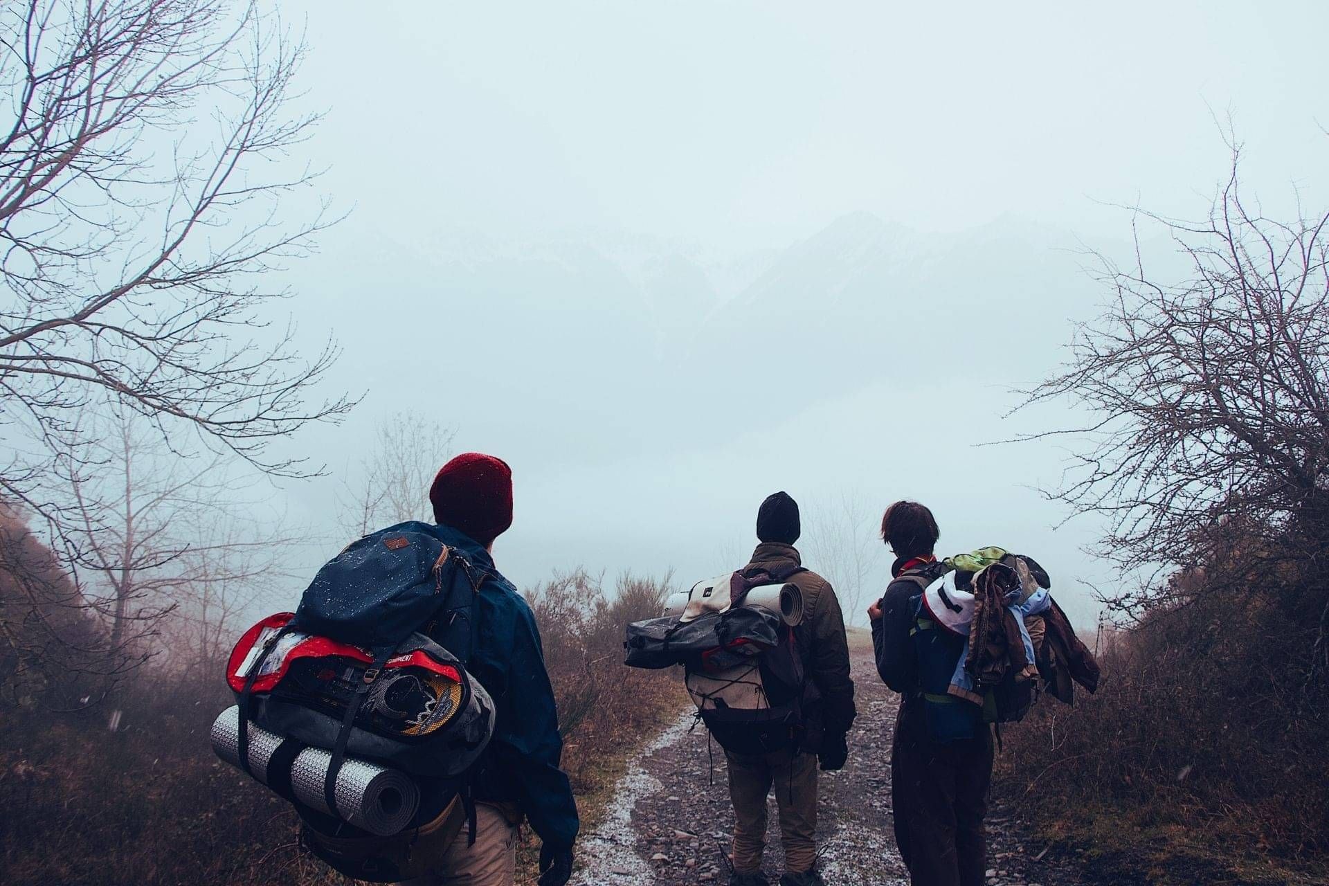 The ANZAC Way - Image of Hikers