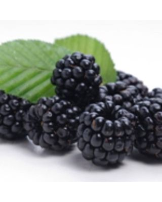 The Flavor Apprentice Blackberry Flavour