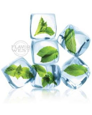 Flavor West Extreme Ice Flavour