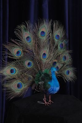 Table Decor Peacock
